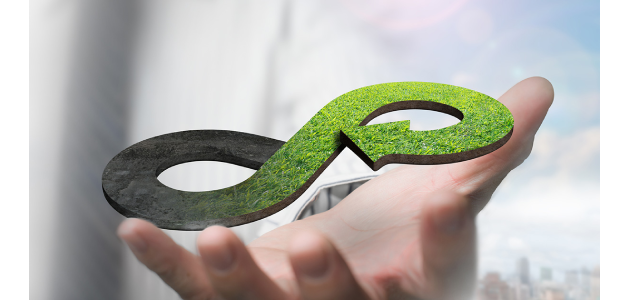 Digital Evolution: How the IT Infrastructure Industry is Reshaping and Revitalizing Local Economies