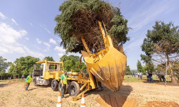 Quantum Loophole Selects STO Mission Critical to Lead Construction of Quantum Frederick